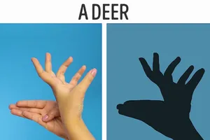 Bạn có nhớ trò tạo bóng bằng bàn tay?