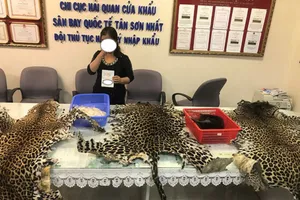 Clip: Đuôi voi, da báo bọc trong nhiều lớp vải, bột