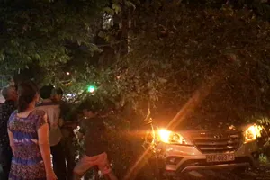 Clip: Cây bật gốc đè trúng ô tô đang chạy ở TP.HCM