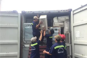 Khám xét container khai báo rổ nhựa nhưng nhập hàng cấm