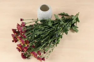 Mẹo Hay Dễ Làm: Mẹo triệt tiêu mùi hôi trong nhà 