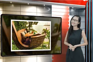 Độc đáo với nhà hàng tổ chim tại Thái Lan