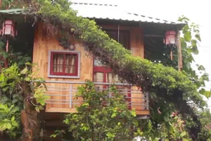 Người đàn ông làm nhà trăm triệu đồng trên cây bồ đề