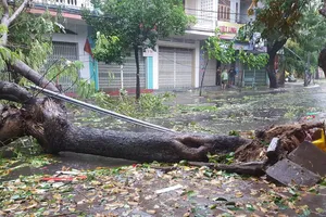 Cận cảnh bão số 12 đổ bộ vào Nha Trang