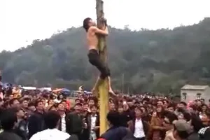 Nam thanh niên ngã trọng thương khi trèo cây chuối