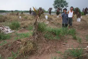 Tiết lộ lý do xác chị Huyền chưa phân hủy