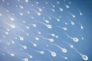 Tác dụng bất ngờ của tinh dịch