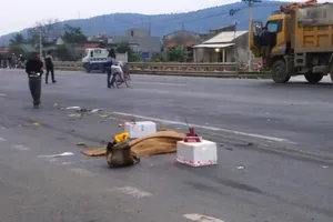  Đi bộ qua đường, hai người bị xe tải tông chết tại chỗ