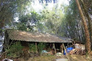 'Dị nhân' sống như thời trung cổ ngay cạnh thành phố lớn