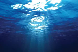 Nhìn ngược hai chữ 'đàn ông'