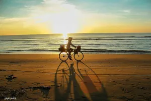 Nắm tay vợ cũ trong đám cưới con…