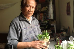 Chơi hoa thủy tiên thu lãi khủng