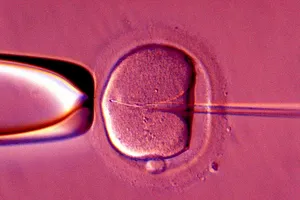 Bà ngoại quyết mang thai... cháu sau khi con gái qua đời