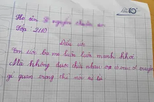 Điều ước 'ba mẹ không chửi nhau' của học sinh lớp 2