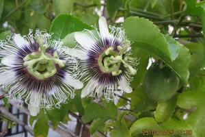 'Hắn' là ai mà biết xấu hổ?