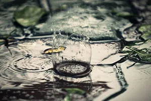 Thôi nghĩ về nhau