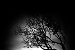 Chồng ghen không phải dạng vừa