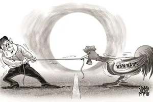 Đàn ông là… con gà trống?