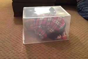 Những màn trốn tìm đáng yêu không thể tả của trẻ con