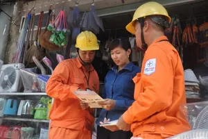 Đa số doanh nghiệp hài lòng về dịch vụ điện năng