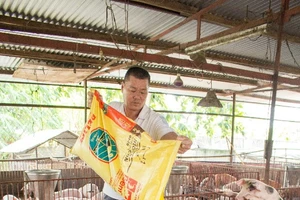 KKR đầu tư 250 triệu USD vào Masan