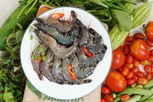 Đất phơi 3 năm mới trồng được rau Co.op Organic