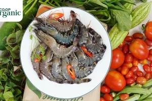 Sản phẩm organic 'xịn' cháy hàng ở Co.opmart