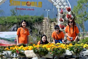 Lạc lối vào xứ hoa Sun World Fansipan Legend
