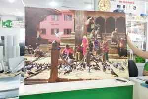 Bí quyết tô điểm không gian làm việc thêm tươi mới