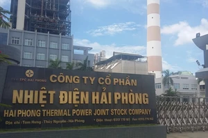 10.000 đồng/tấn, doanh nghiệp xếp hàng mua tro xỉ 