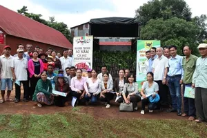 Nâng cao giá trị hạt cà phê Buôn Ma Thuột