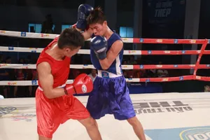Háo hức đón những trận chung kết Boxing rực lửa