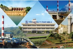 EVN quảng bá hình ảnh của EVNGENCO3 tại Singapore