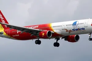 Tàu bay 'Tôi yêu Tổ quốc tôi' đón U-23 Việt Nam