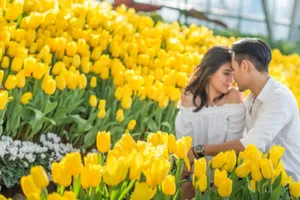 Say đắm hương sắc vạn đóa hồng tại Vinpearl Nha Trang