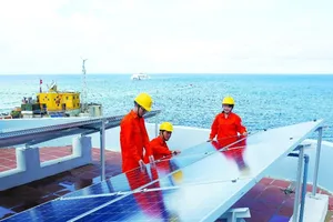 EVN: Cấp điện an toàn, ổn định dịp Tết Mậu Tuất 2018 ​