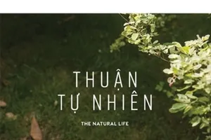 Bảo hiểm AIA Việt Nam ra mắt sách nấu ăn