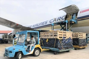 Vinamilk nhập lô bò A2 thuần chủng đầu tiên từ New Zealand