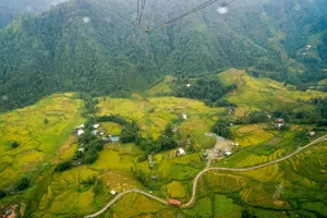 Đến Fansipan ngắm lúa xanh đẹp quên lối về