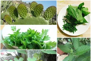 5 bài thuốc chữa thoái hóa cột sống lưng