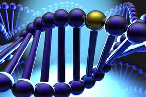 Vingroup chi 4,5 triệu USD nghiên cứu giải mã gen người Việt