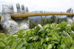 Cầu Vàng xuất hiện trên màn hình quảng trường Time Square