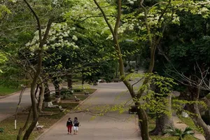 Top 3 công viên giải nhiệt mùa hè tại Hà Nội