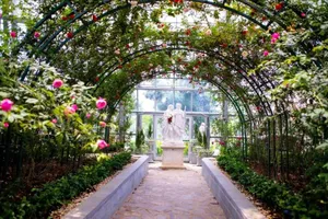 Trải nghiệm Vương quốc hoa hồng cực ngọt ngào tại Nha Trang 