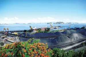 Năng suất lao động ngành than tăng 10%