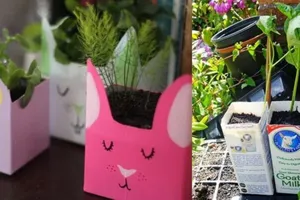 Sống xanh trong cuộc sống hiện đại: Dễ hay khó?