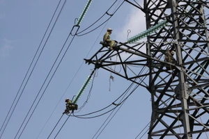 Năm 2019: EVNNPT đạt doanh thu hơn 20.000 tỉ đồng