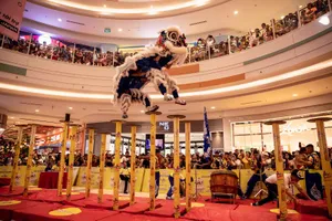 Mãn nhãn với màn tranh tài của 30 đội 