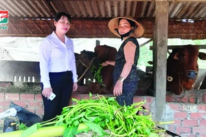 Kienlongbank giảm 50% trên tổng số tiền lãi phải thanh toán