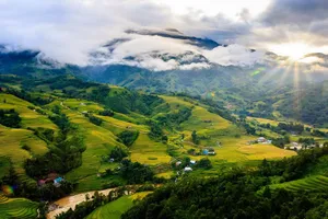 Fansipan mùa lúa chín đẹp ngất ngây